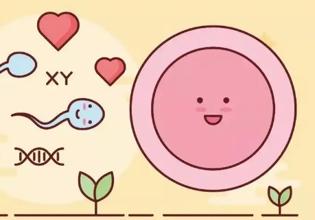 上海助孕机构哪家好?