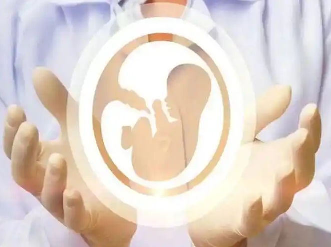 上海好柿花生:供卵中心如何选择?