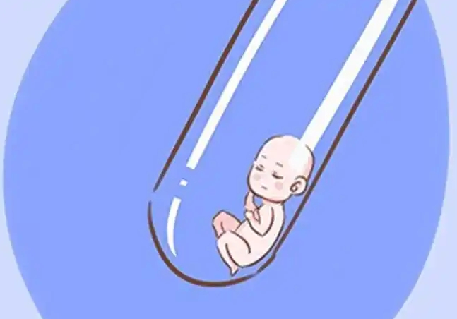 上海好柿花生借卵机构:借卵费用明细,透明合理