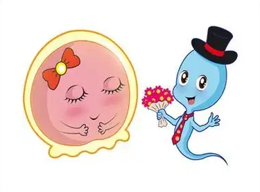 上海好柿花生:助孕服务的优缺点分析