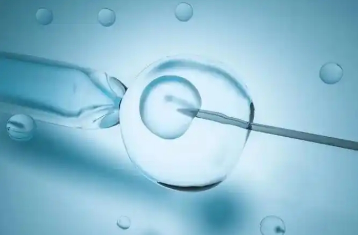 上海供卵医院做供卵试管费用多少呢？